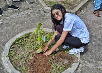 São Luís/MA – Educação Ambiental: uma passo importante para a preservação e sustentabilidade
