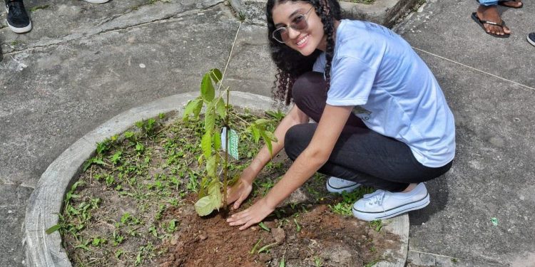 São Luís/MA – Educação Ambiental: uma passo importante para a preservação e sustentabilidade
