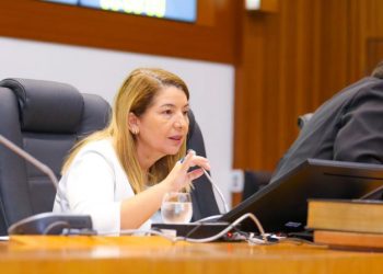 São Luís/MA – Iracema Vale apresenta requerimento para homenagear o Instituto Histórico e Geográfico do Maranhão