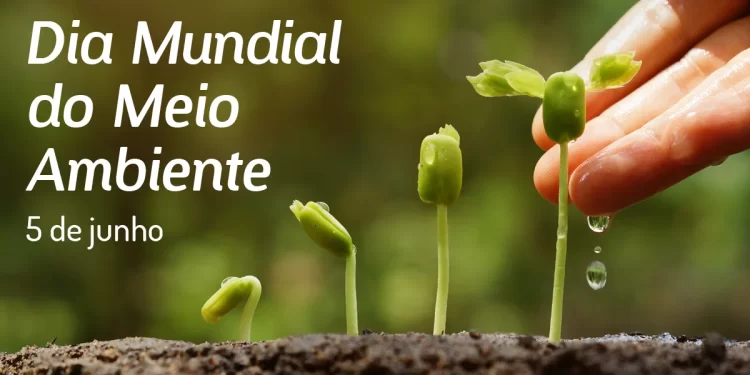 São Luís/MA – Governo comemora Dia do Meio Ambiente com lançamento do Junho Verde, vasta programação e ações de preservação ambiental