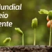 São Luís/MA – Governo comemora Dia do Meio Ambiente com lançamento do Junho Verde, vasta programação e ações de preservação ambiental
