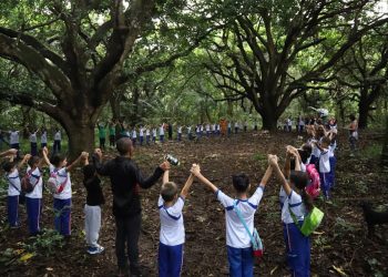 São Luís/MA – Parque do Itapiracó recebe estudantes no Dia Mundial do Meio Ambiente