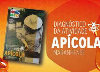 São Luís/MA – Imesc divulga Diagnóstico da Atividade Apícola Maranhense