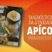 São Luís/MA – Imesc divulga Diagnóstico da Atividade Apícola Maranhense
