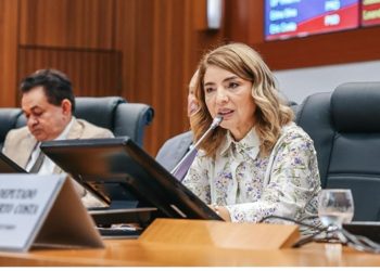 Iracema Vale afirma que seguirá com gestão participativa na Assembleia Legislativa