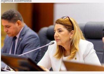 Iracema Vale enaltece atuação do governador Brandão na segurança pública do estado