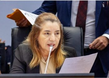 Iracema Vale esclarece sobre o processo de escolha do novo membro do TCE e declara apoio a Flávio Costa