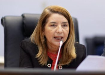 Iracema nega interferência do Governo do MA em blocos parlamentares