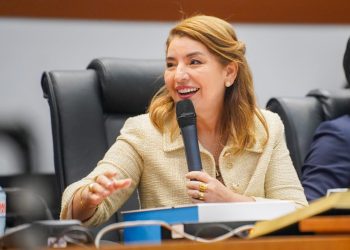 Iracema Vale afirma que manifestação da AGU reforça respeito à autonomia do Parlamento