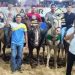 16ª Vaquejada da Arena “Bom Que Dói”reúne vaqueiros de todo o Maranhão e é marcada por sucesso de público e grandes atrações em Presidente Sarney