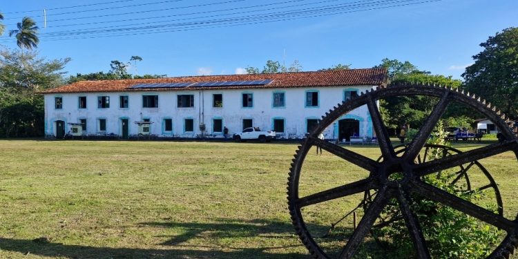 Símbolo colonial vira motor de inovação social e emancipação em quilombo maranhense   