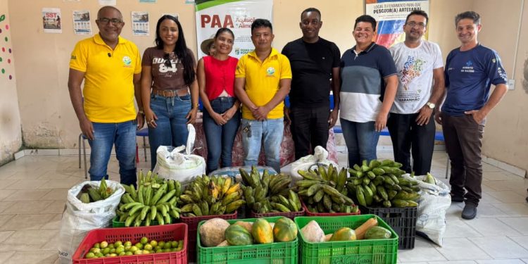 Prefeitura de Pedro do Rosário trabalha pra fortalecer a agricultura familiar.